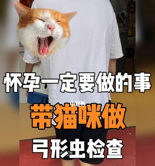 猫咪弓形虫疫苗的作用与重要性（保护宠物免受疾病侵害）