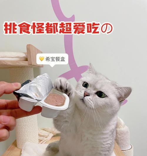 宠物猫咪的饮食选择——罐头餐盒