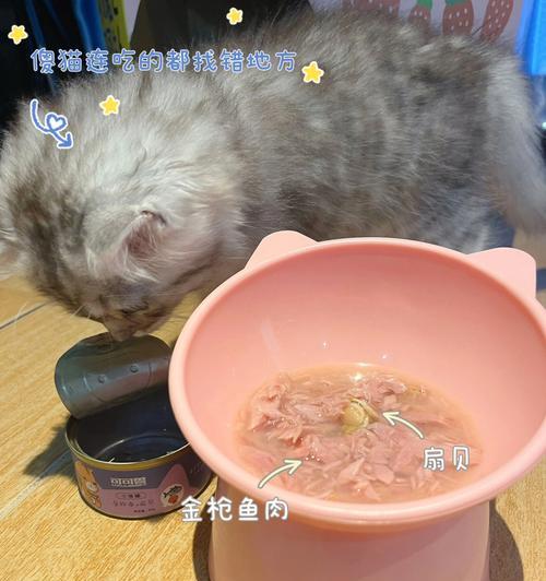 猫咪罐头汤，可口的宠物饮品（以宠物为主的营养饮品）