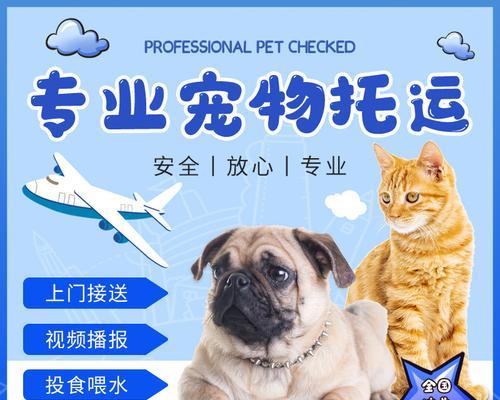 猫咪航空托运——诚信服务，宠物安心（以宠物为主）