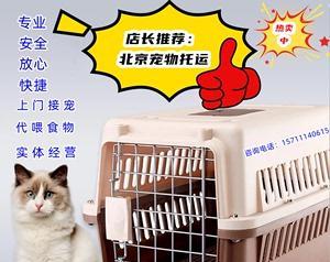 猫咪航空托运——诚信服务，宠物安心（以宠物为主）