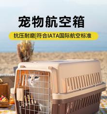 猫咪航空——宠物托运的选择