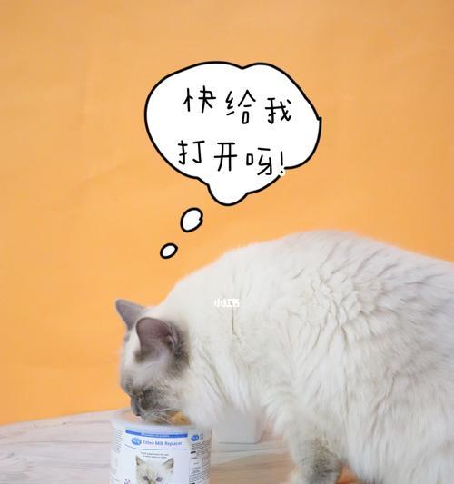 猫咪饮水常识（喝水对猫咪健康的重要性）