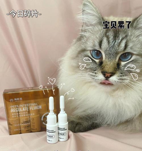 猫咪喝了益生菌还能喂猫粮吗（探究猫咪喝益生菌与喂猫粮之间的关系）