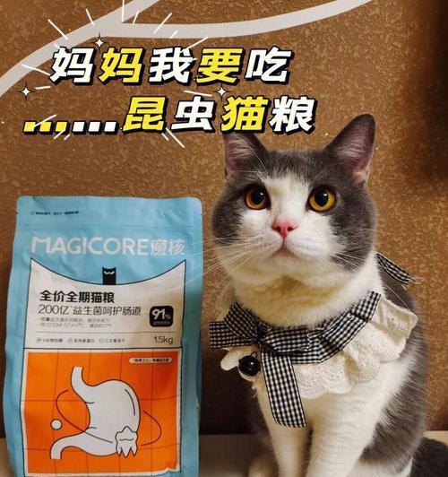 猫咪喝了益生菌还能喂猫粮吗（探究猫咪喝益生菌与喂猫粮之间的关系）