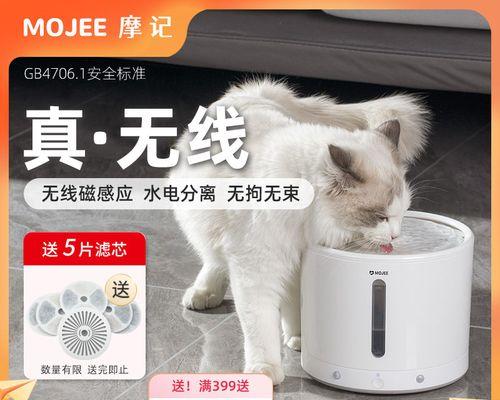 如何应对宠物猫咪喝水拉稀问题（掌握正确喂水技巧）