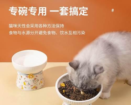 喝水之道，猫咪的健康秘诀（以猫咪喝水预防疾病）