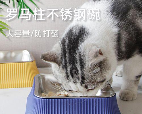 喝水之道，猫咪的健康秘诀（以猫咪喝水预防疾病）