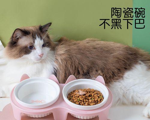 为什么猫咪喝水后会吐（揭秘猫咪喝水吐的原因及预防方法）