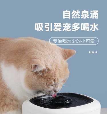 猫咪为什么要在喝水前刨一下（探究猫咪喝水的习性及其好处）