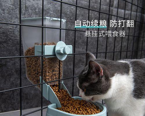 猫咪喝水的正确姿势（注意健康）