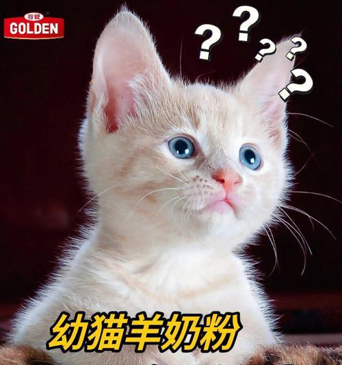 三个月猫咪的营养需求与羊奶粉喂养方法（从宠物角度探讨如何科学喂养）