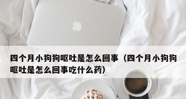 三个月小狗吐吃什么药（宠物照顾必读）