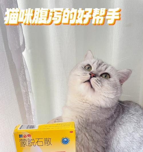 如何合理用量给宠物思密达小猫（“合理用量”帮你科学喂养宠物）