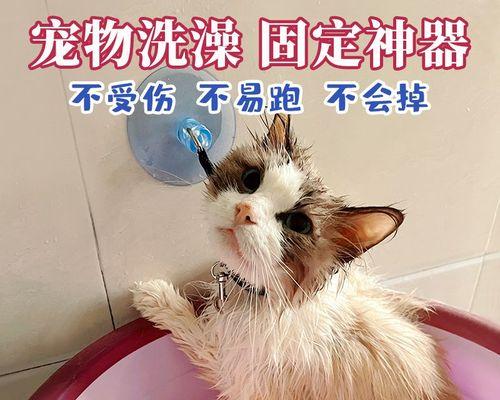 小猫驱虫全攻略（宠物健康从驱虫开始）