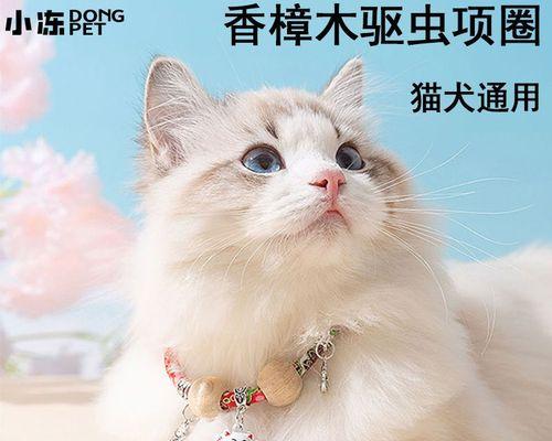 如何给宠物小猫驱虫（为您详细介绍一月龄小猫如何正确驱虫以及常见的驱虫方法）