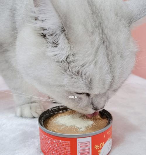 如何让产后食欲不振的猫咪恢复食欲（益生菌能帮助宠物猫恢复食欲）