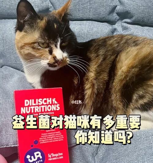 可以给宠物猫吃益生菌吗（探讨给猫咪补充益生菌的必要性和注意事项）