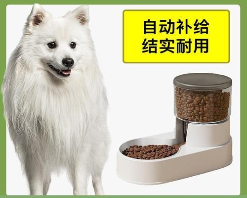 如何选择适合银狐犬的狗粮（以宠物为主）