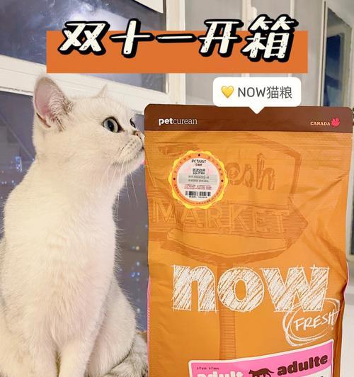 现在的猫粮（了解“现在”品牌猫粮）