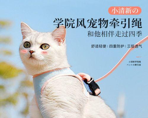 猫咪抓破你，还能感觉到疼吗（探究猫咪抓伤对人体的影响以及如何避免）