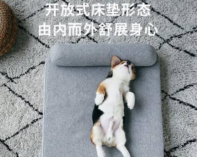 边境牧羊犬的睡眠习惯（如何让你的宠物睡得更舒适）