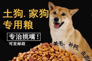 如何选择适合柴犬的狗粮牌子？