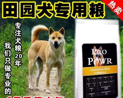 如何选择适合柴犬的狗粮牌子？