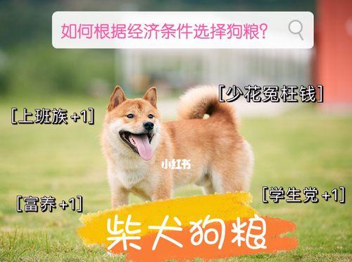 如何选择适合柴犬的狗粮牌子？