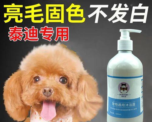 为您揭秘超大型泰迪犬的命名之道（如何给超大型泰迪犬取名）