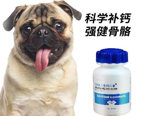 宠物换主人怎么办（以成犬为例）