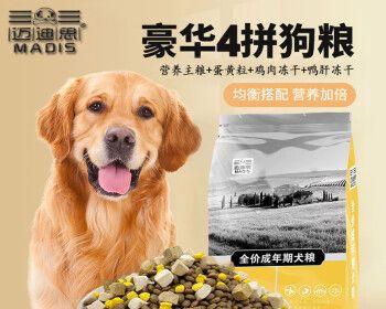 成犬金毛的狗粮选择（以宠物为主）