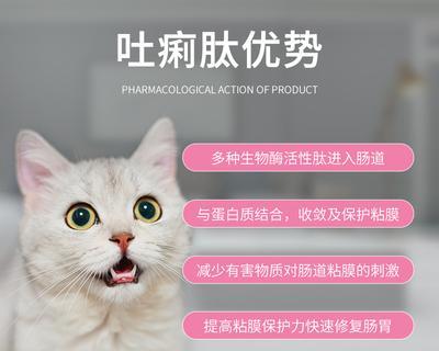 成犬拉稀便血，怎么办（宠物拉稀便血常见原因和治疗方法）