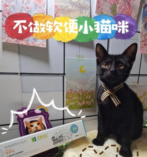 宠物猫多吃营养膏软便的原因（了解为何多吃营养膏会导致猫咪软便）