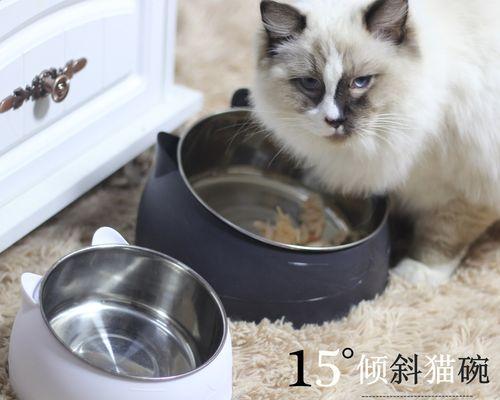 以打猫针的副作用你需要知道的事情（了解打猫针可能带来的影响）