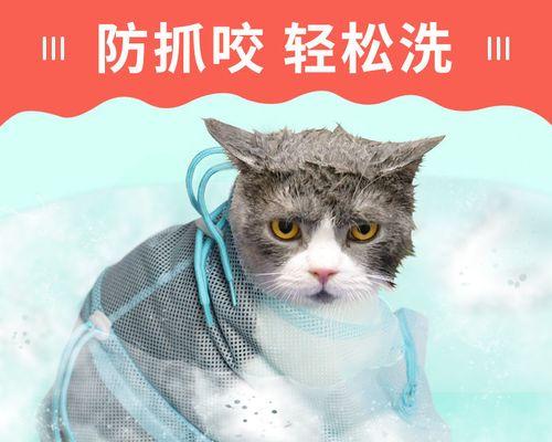 以暴力对待宠物，猫咪死亡事件警示（关注宠物福利）