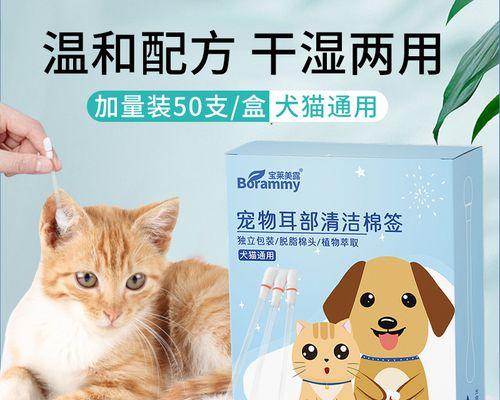 猫耳朵掏出血怎么办（以宠物为主）