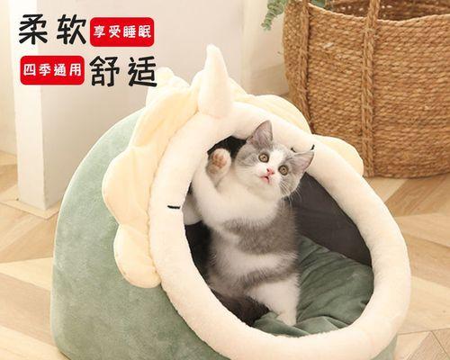 警惕（以猫吃什么可以毒死为例）