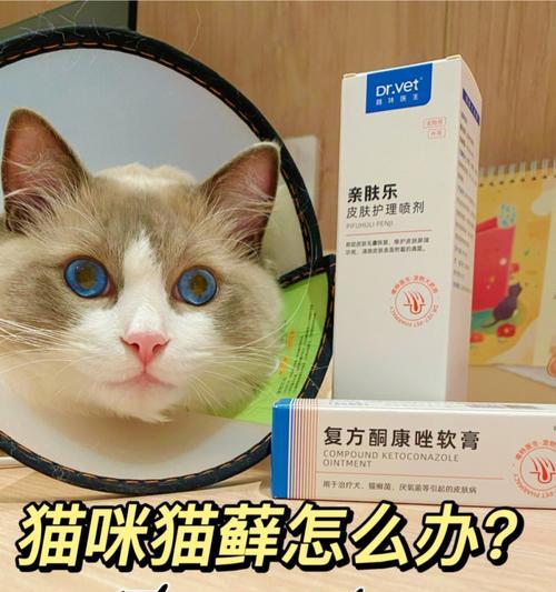 用猫得猫藓涂什么药（详解治疗宠物猫得猫藓的药物选择）