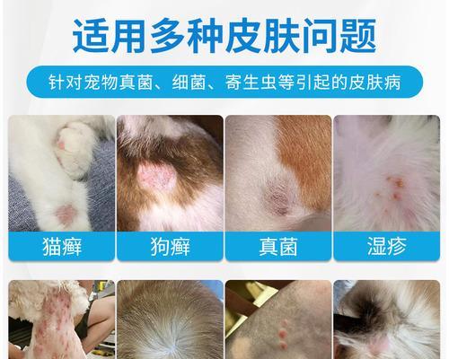 宠物猫得螨虫怎么办（用什么药治疗猫螨虫）