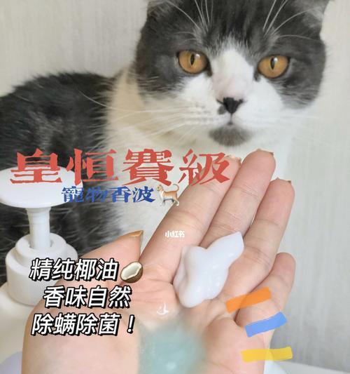 如何正确使用猫洗澡液（让宠物猫洗澡变得更简单易行）