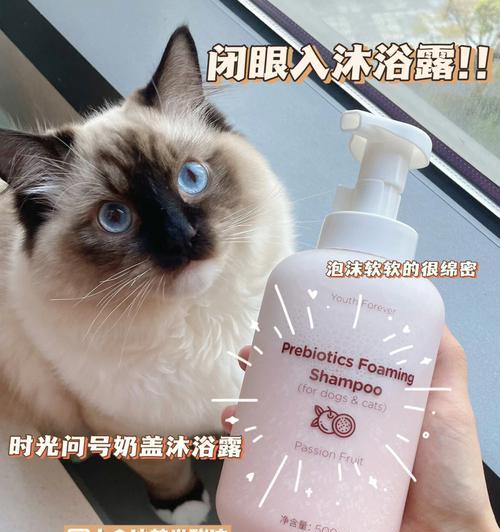 如何正确使用猫洗澡液（让宠物猫洗澡变得更简单易行）