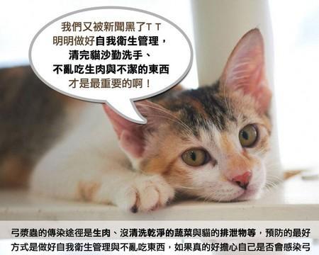 猫肛门掉虫，如何防治（宠物爱护必备）