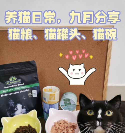 如何正确拌猫粮（以猫罐头为主）