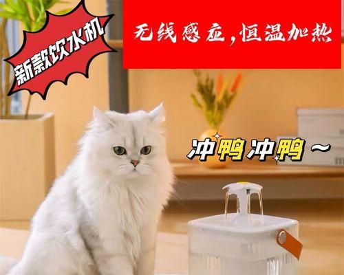 猫喝水的温度（如何让你的宠物猫喝到最适合的温度）