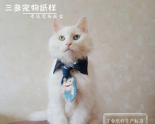 失去了宠物的痛苦（以猫猫死了怎么处理为例）