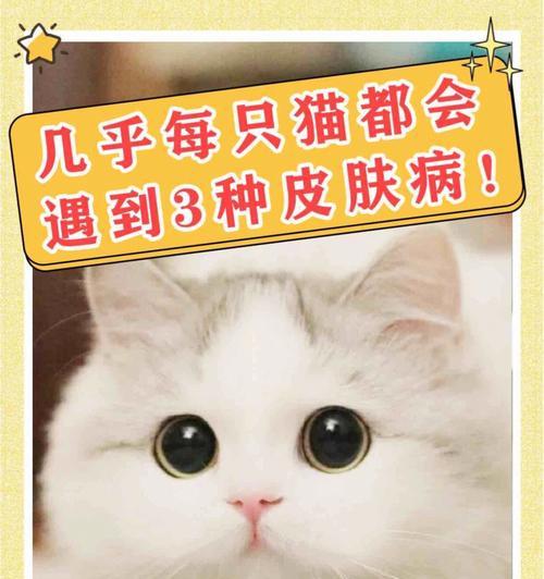 如何应对猫皮肤病——宠物猫的健康之道（掌握猫皮肤病的症状和治疗方法）