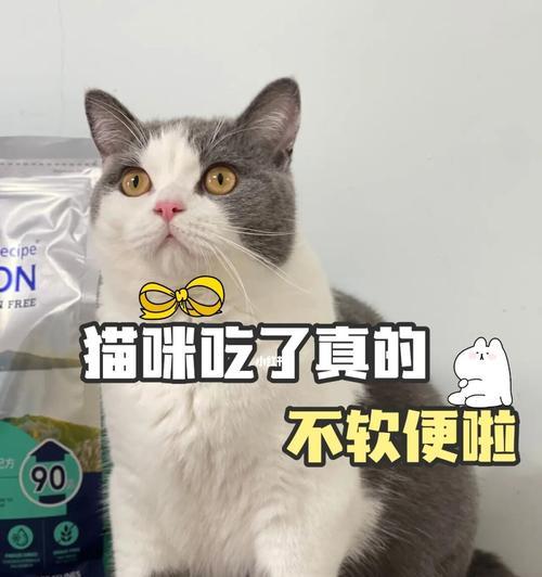 如何帮助软便的猫恢复健康（以猫粮为主）