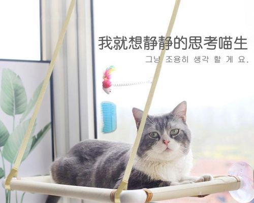 猫妈妈如何引导小猫进食（新手猫主人必看）