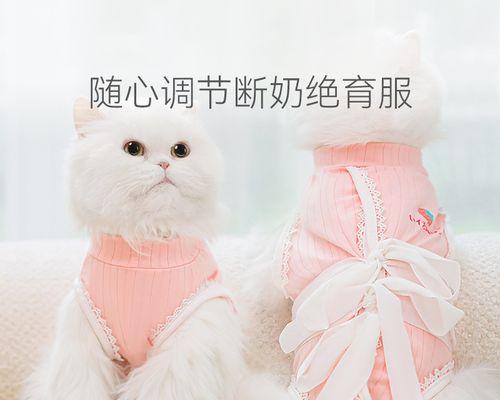 猫咪舔人衣服该如何处理（宠物养护指南）